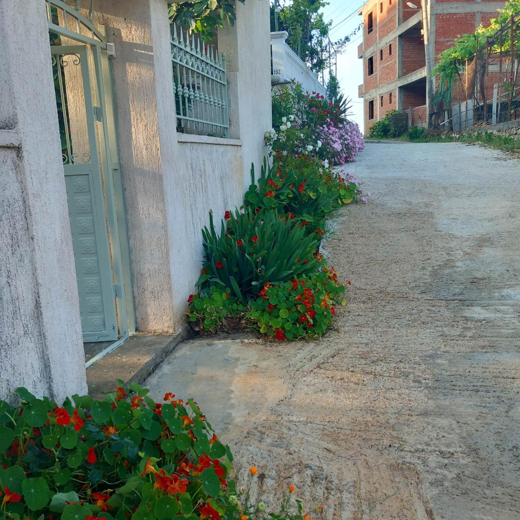 Sarsed Home, Sarandë Exteriér fotografie
